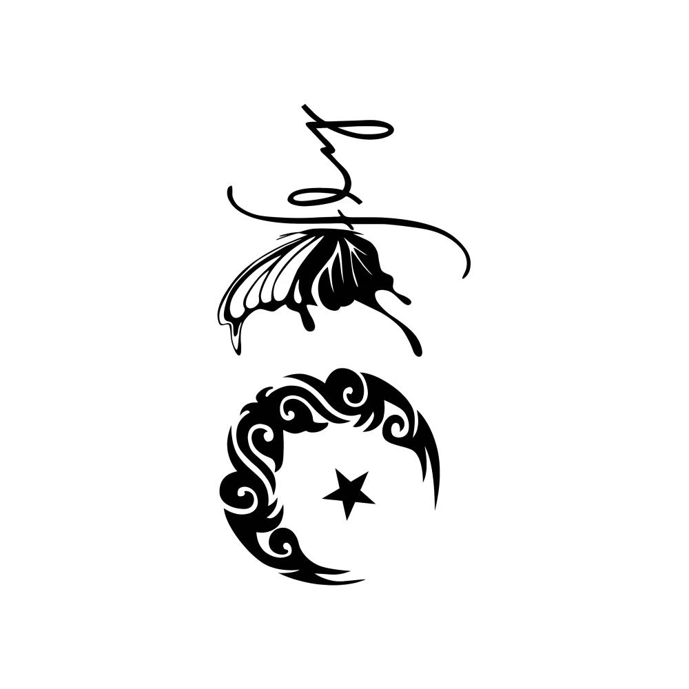 Moth & Moon