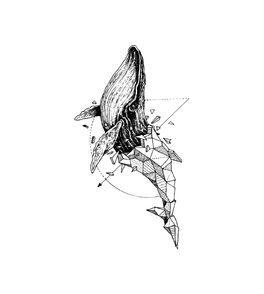 Whale Drift