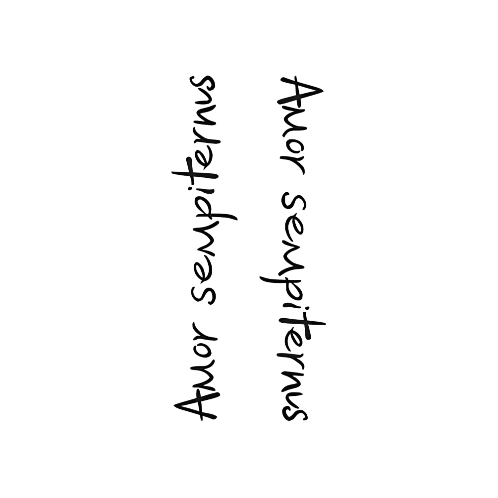 Everlasting Amor