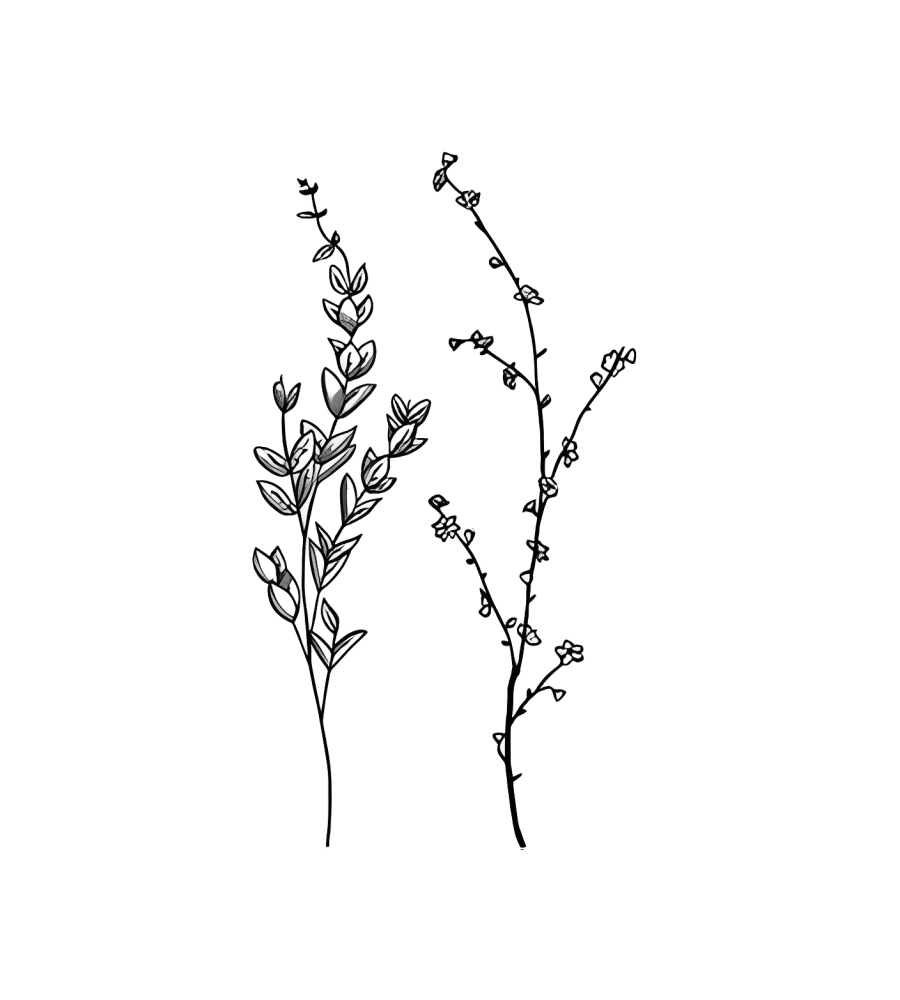 Lavender Lines