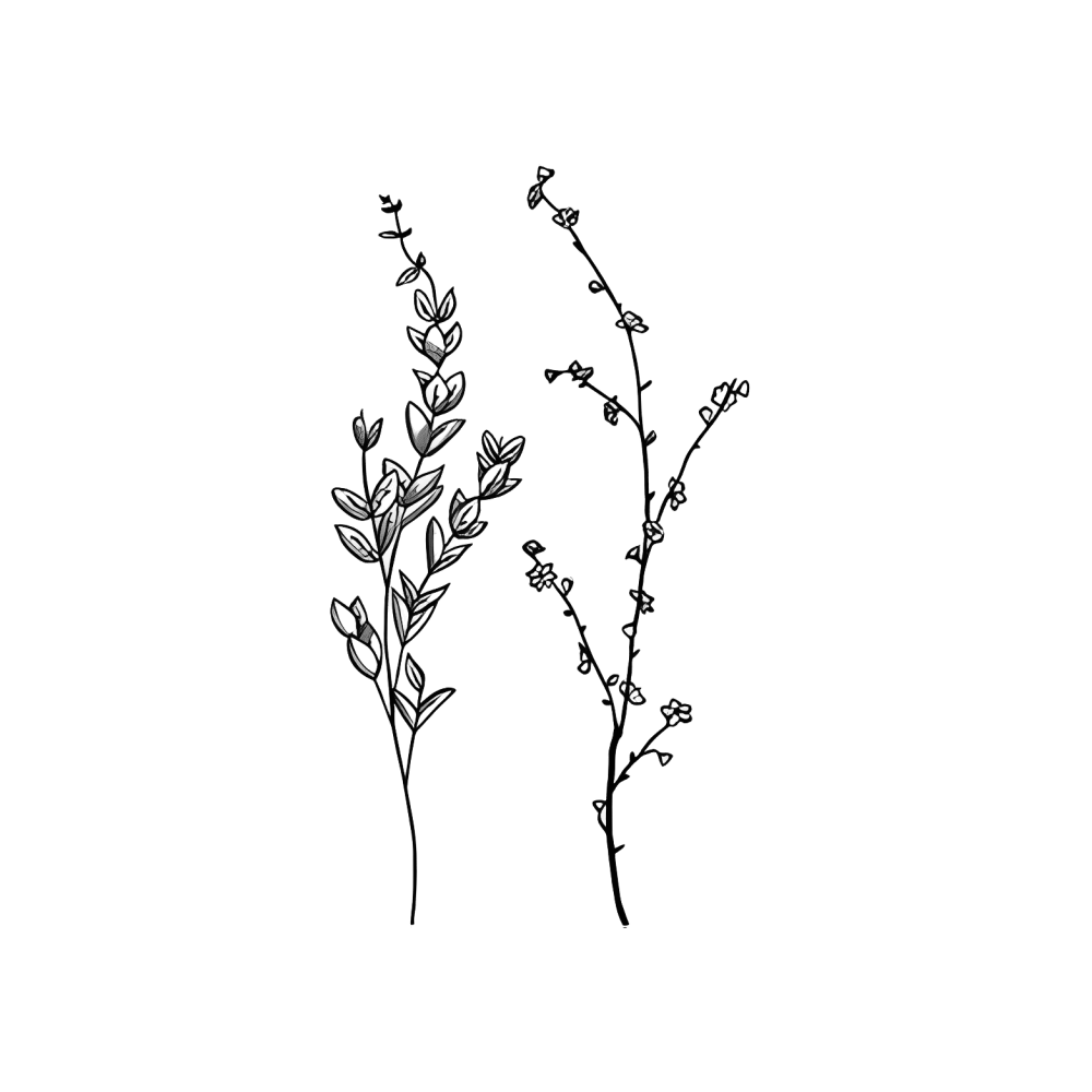 Lavender Lines
