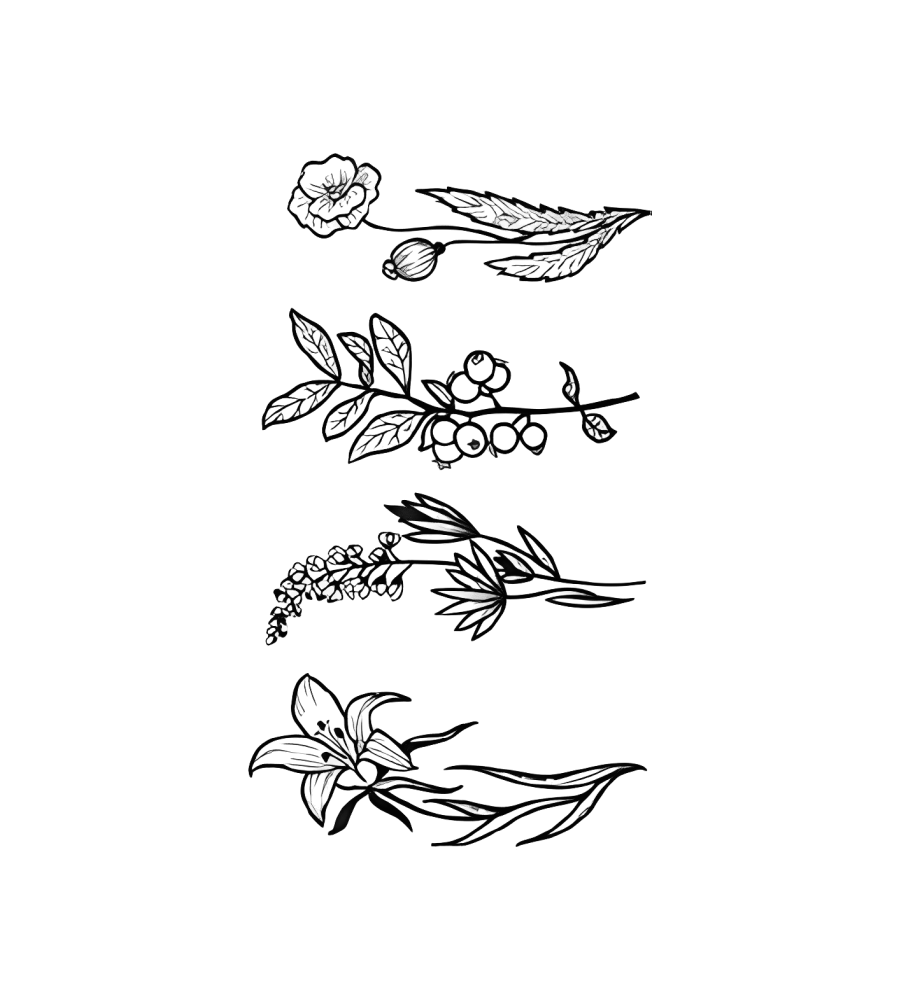 Berry Stems isolated tattoo design