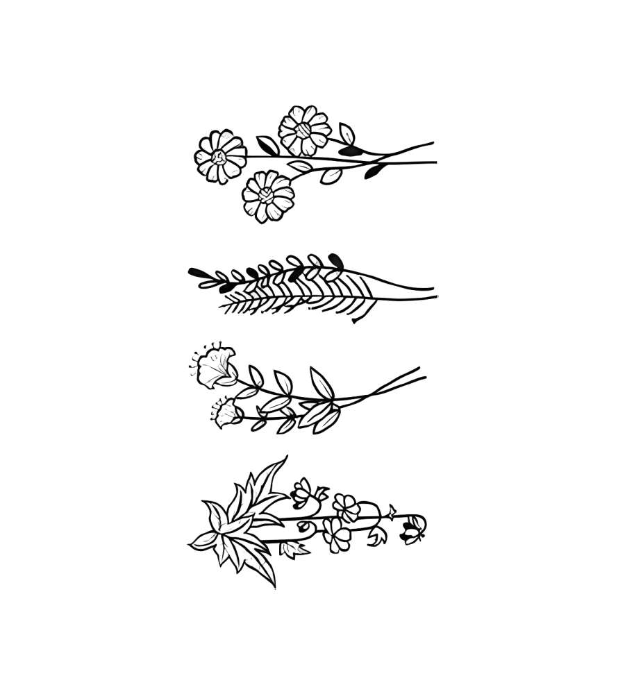 Fern & Daisy