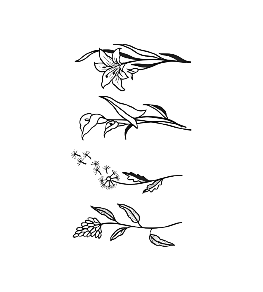 Lily Quartet
