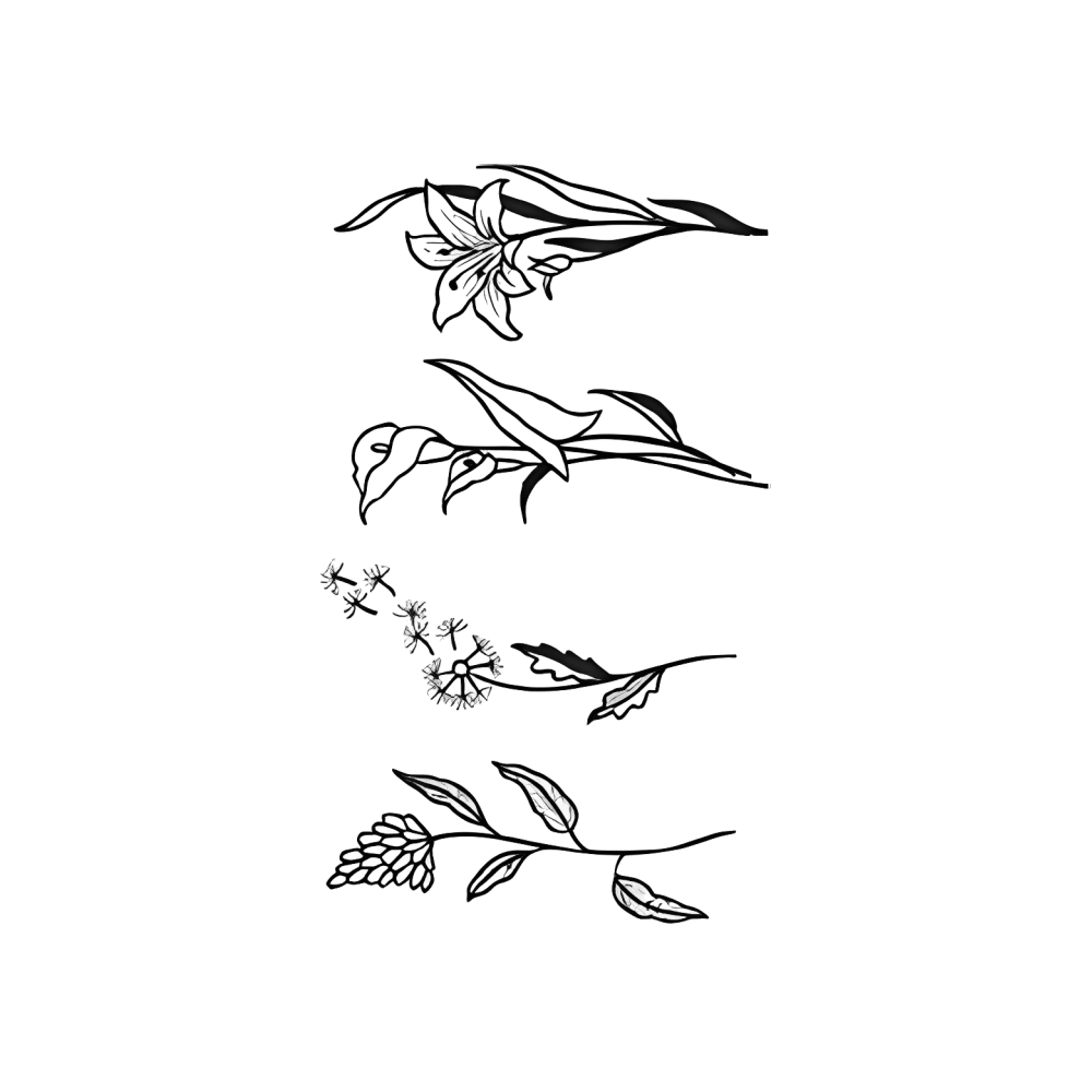 Lily Quartet
