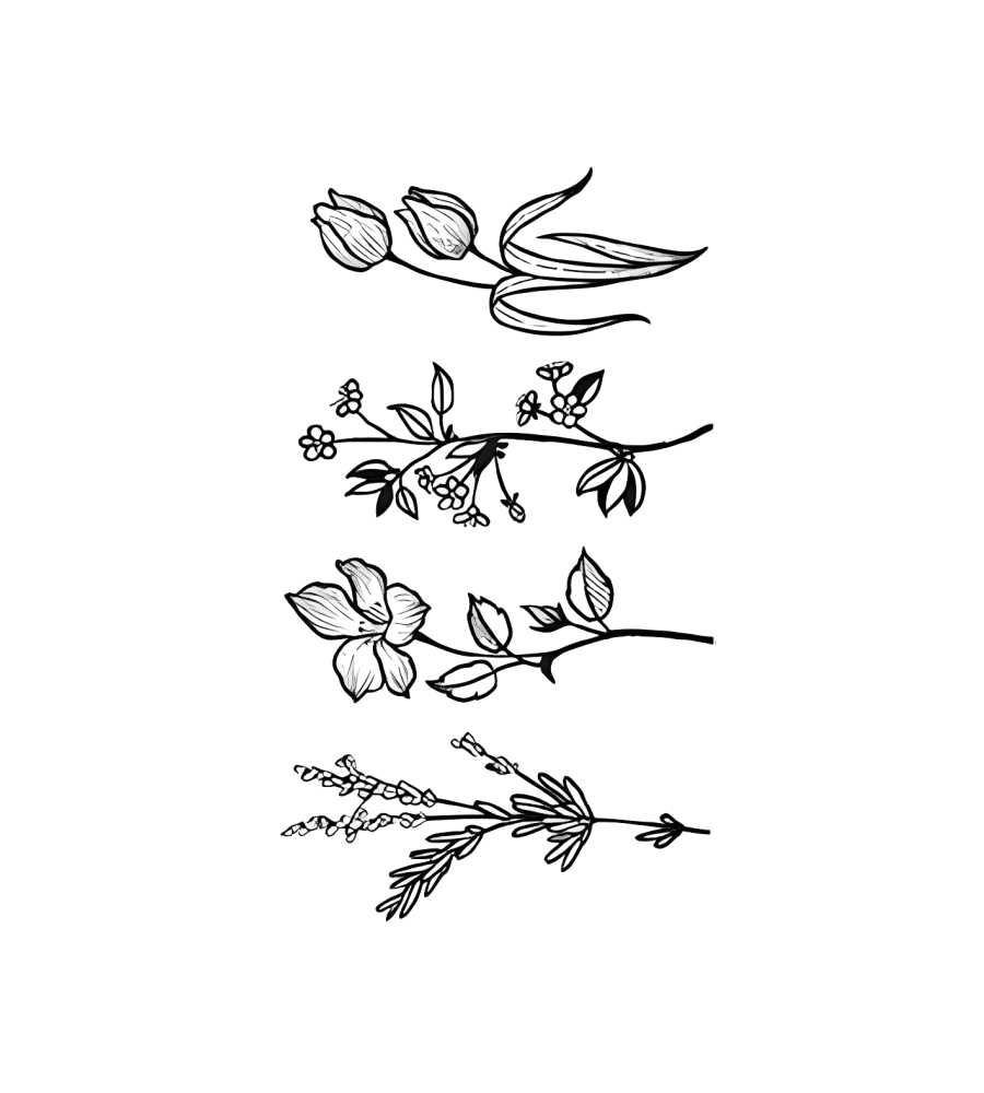 Tulip Notes
