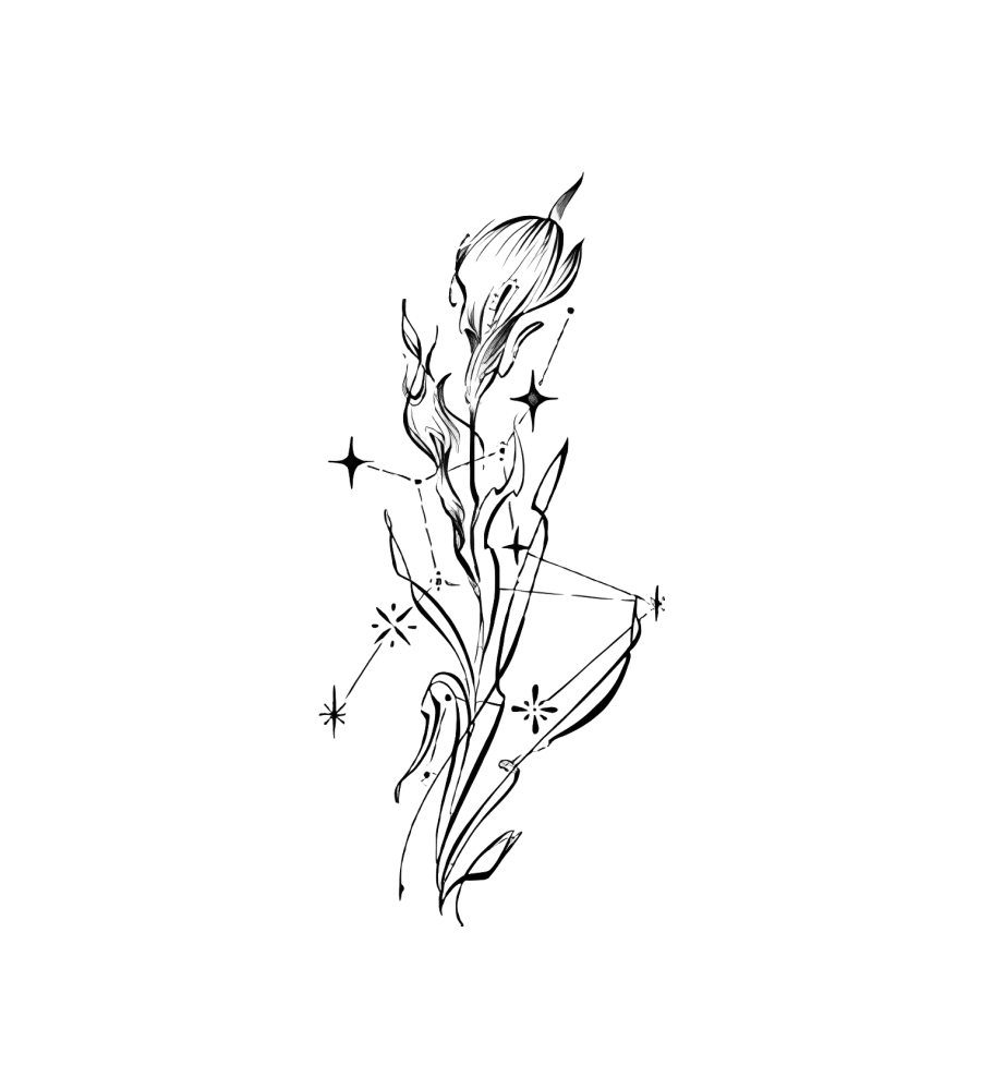 Constellation Tulip isolated tattoo design