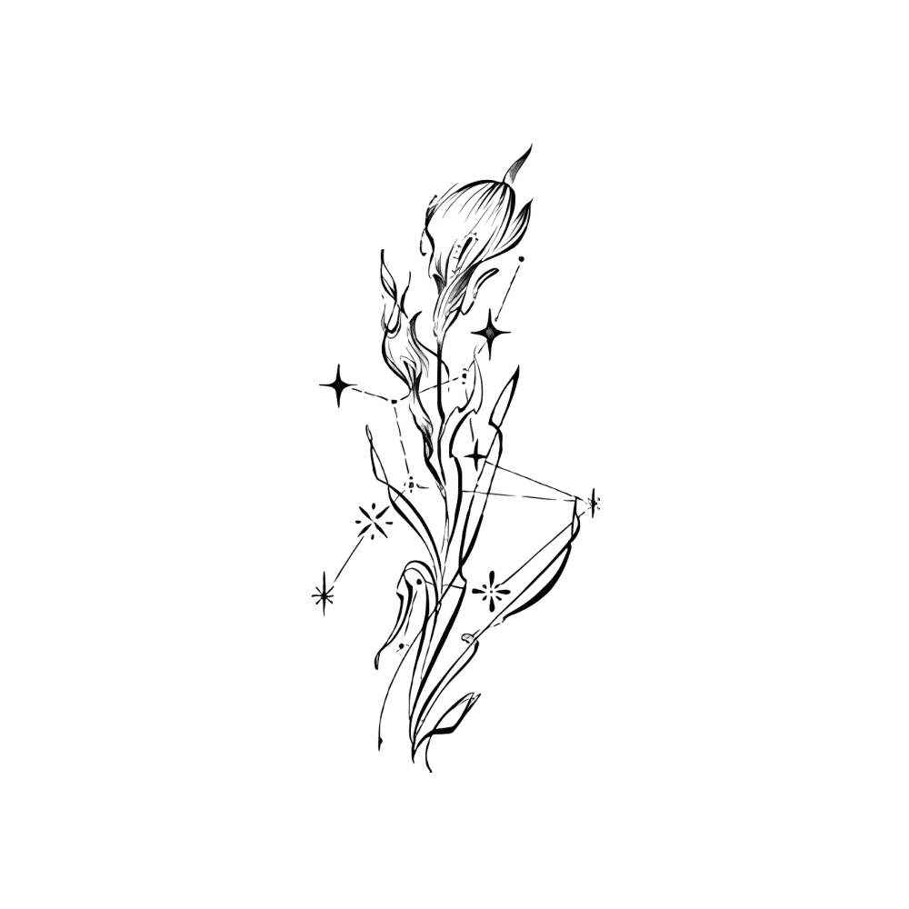 Constellation Tulip