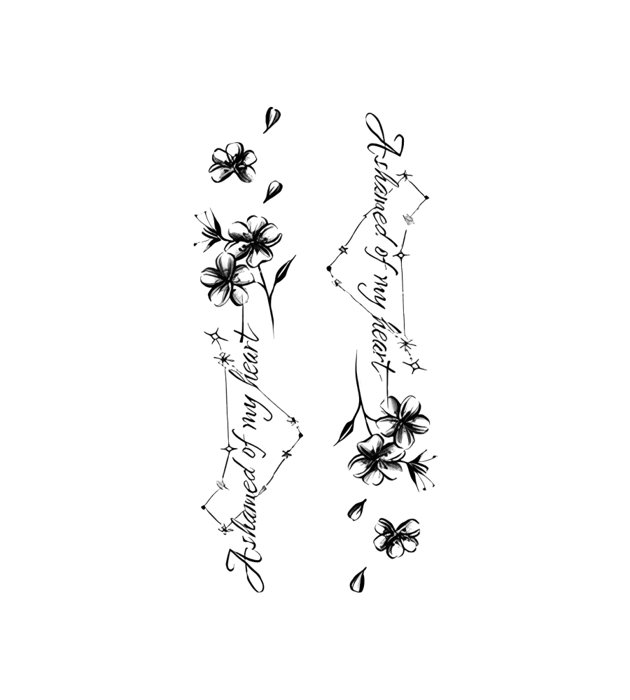 Heart Constellation