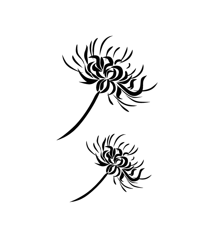 Lily Duo