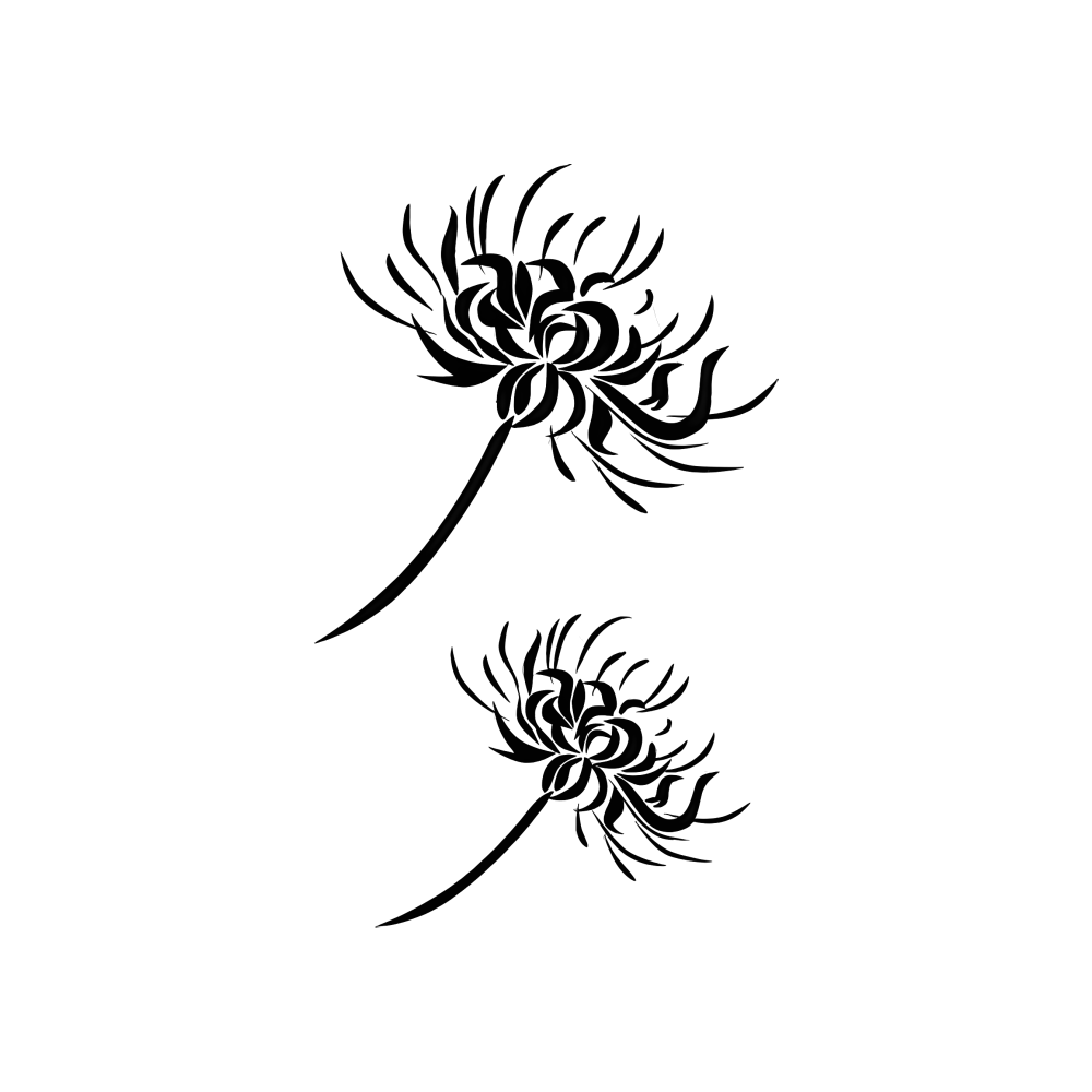 Lily Duo