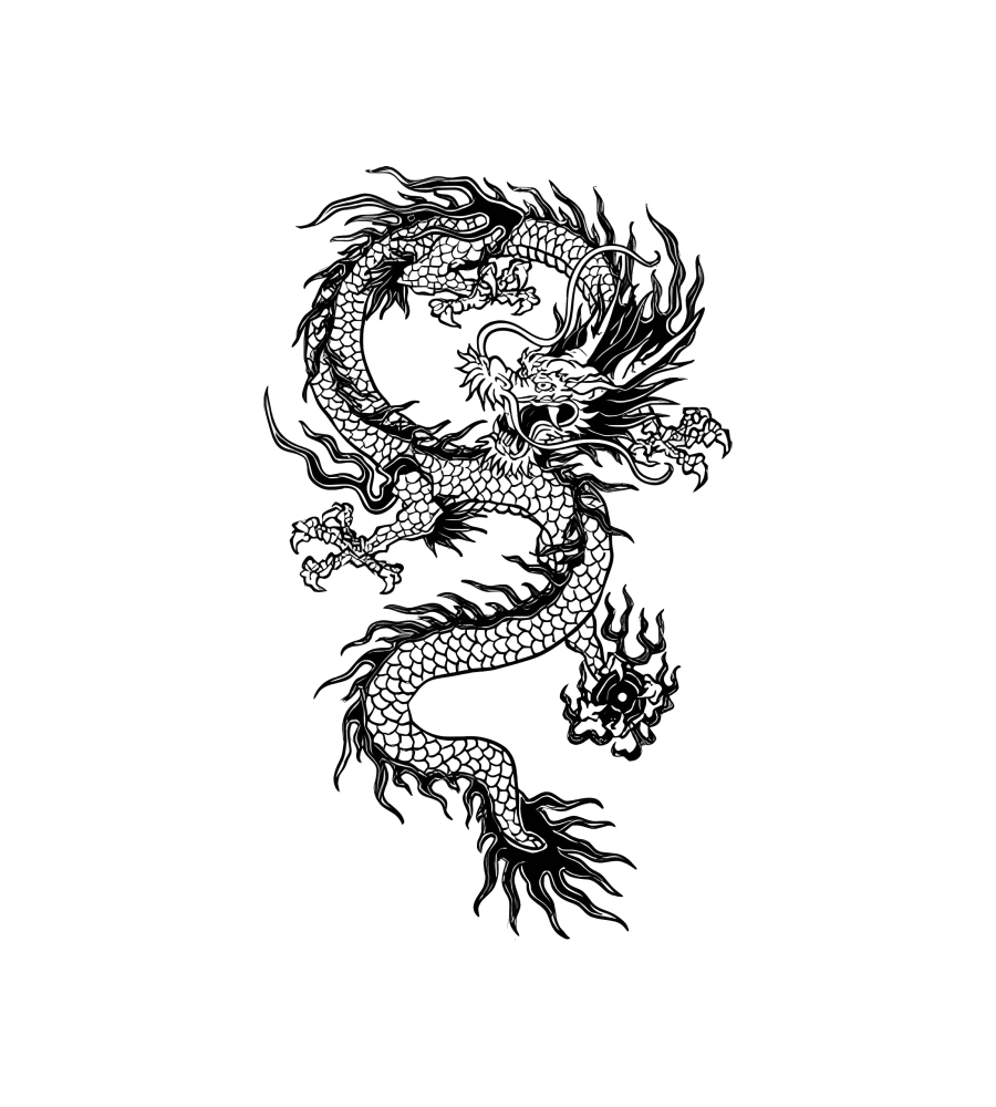 Dragon's Pearl