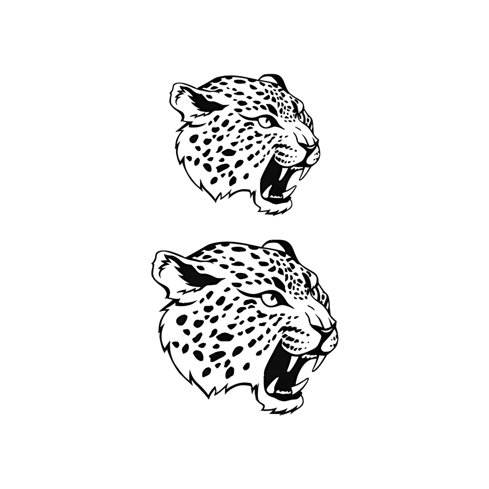 Leopards
