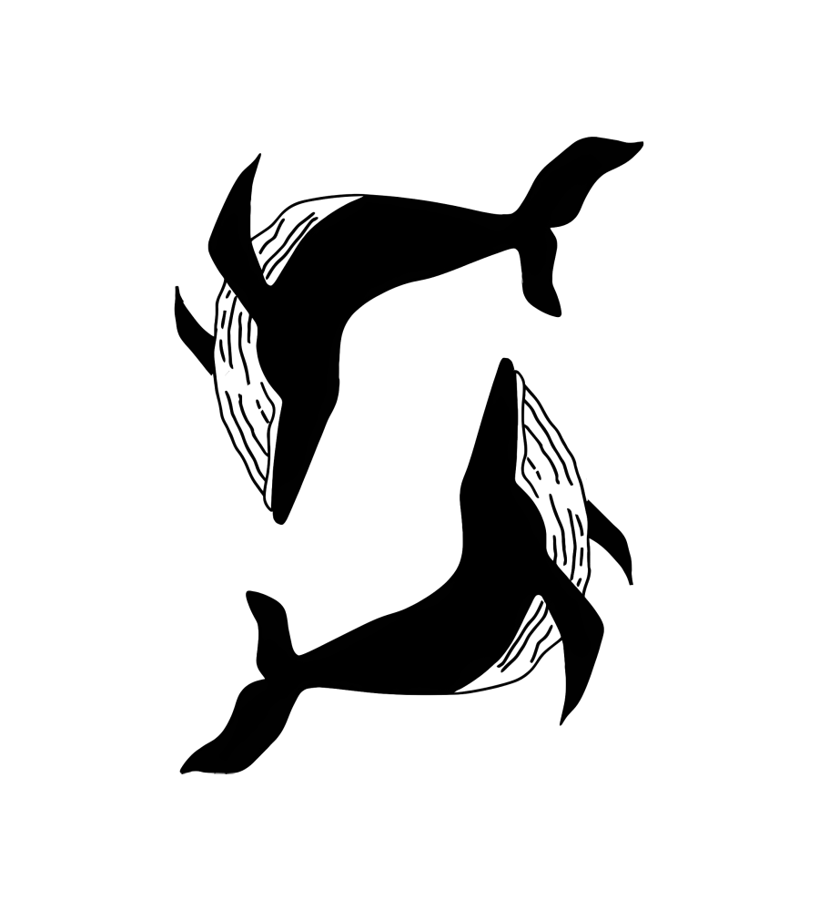 Whale Pair