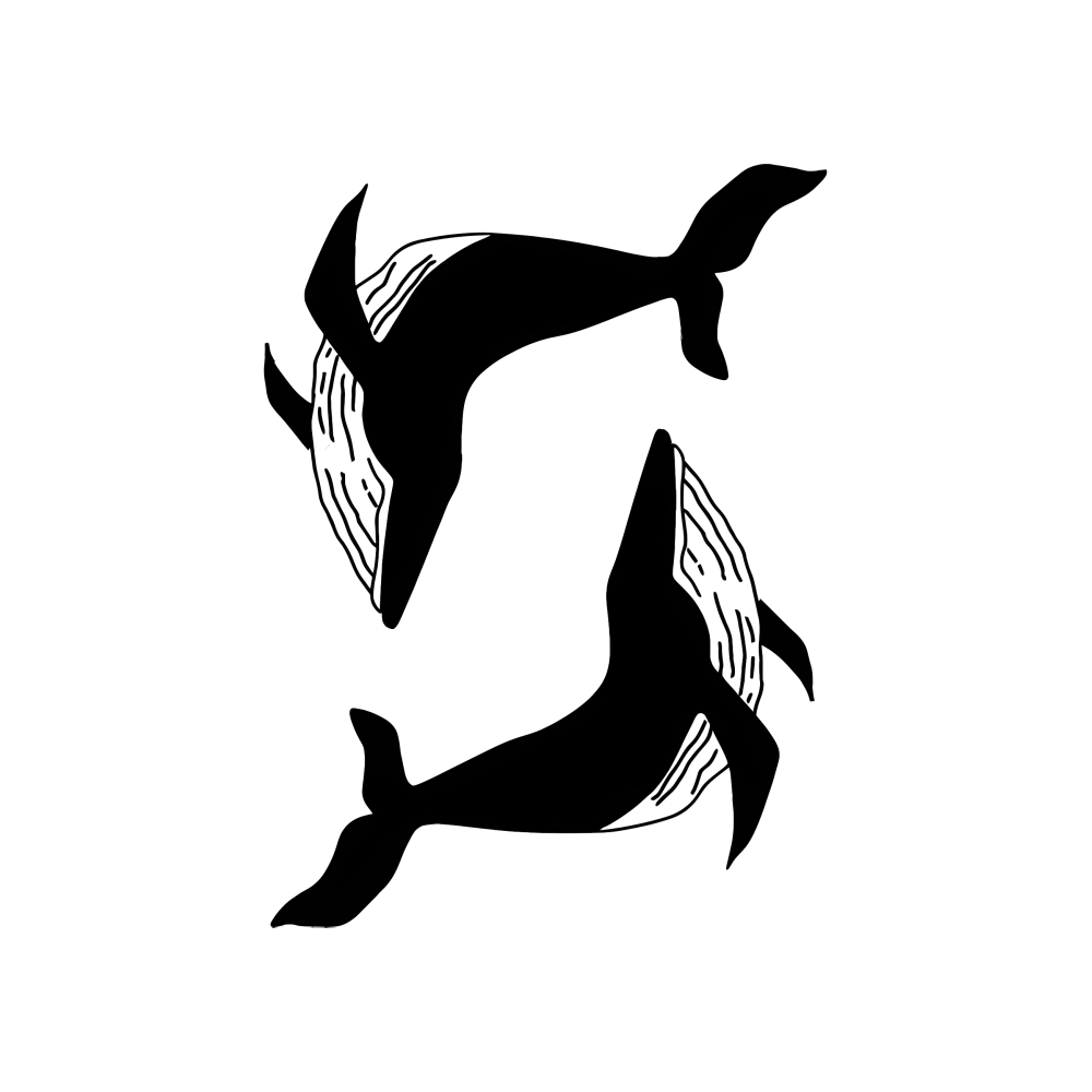 Whale Pair