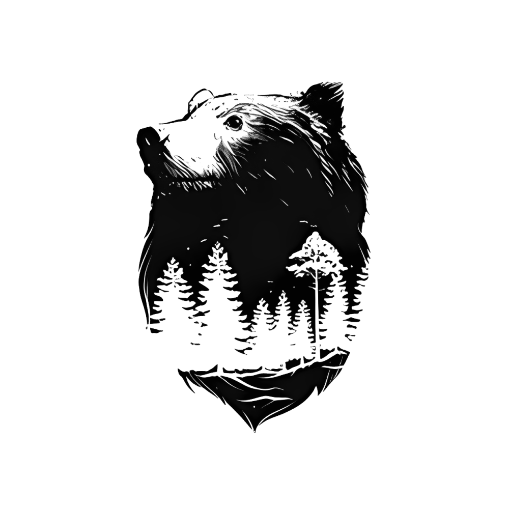 Wild Bear