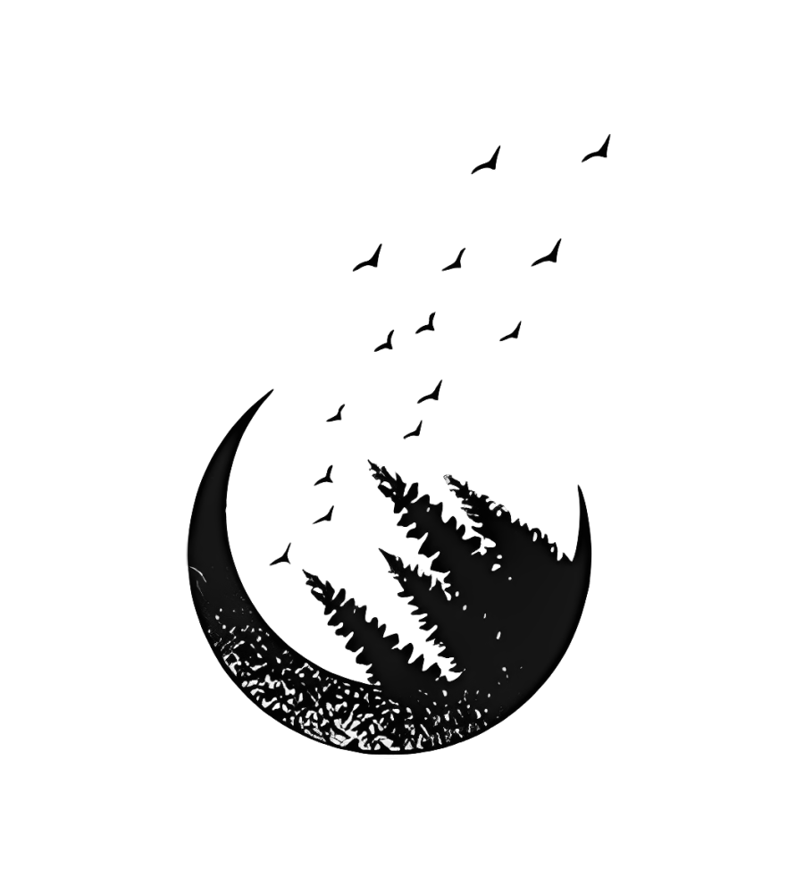 Moon Birds