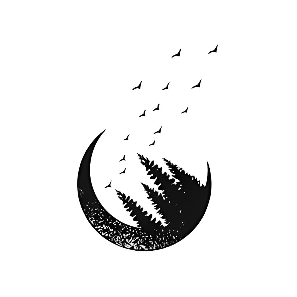 Moon Birds