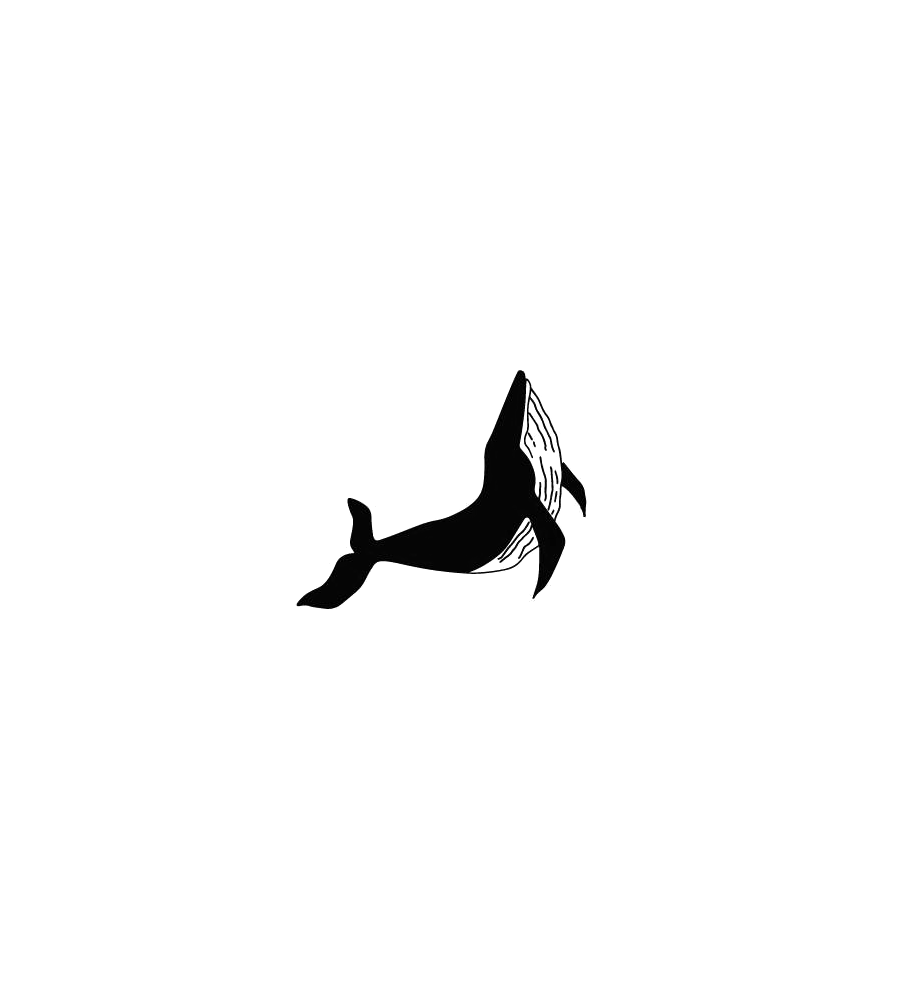 Midnight Heel