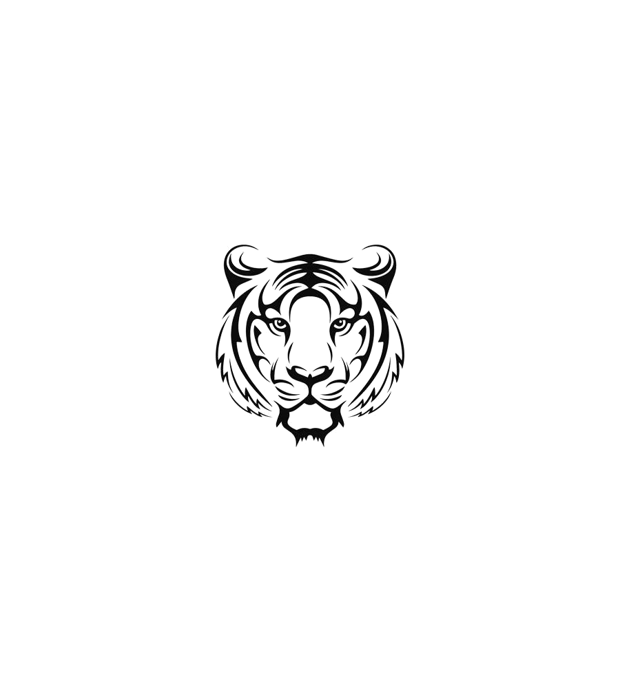 Tiger Gaze