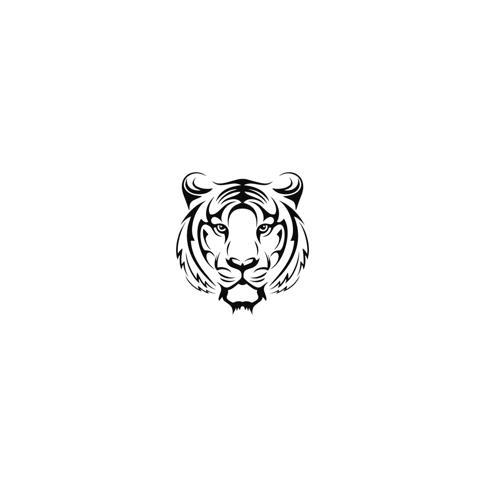 Tiger Gaze