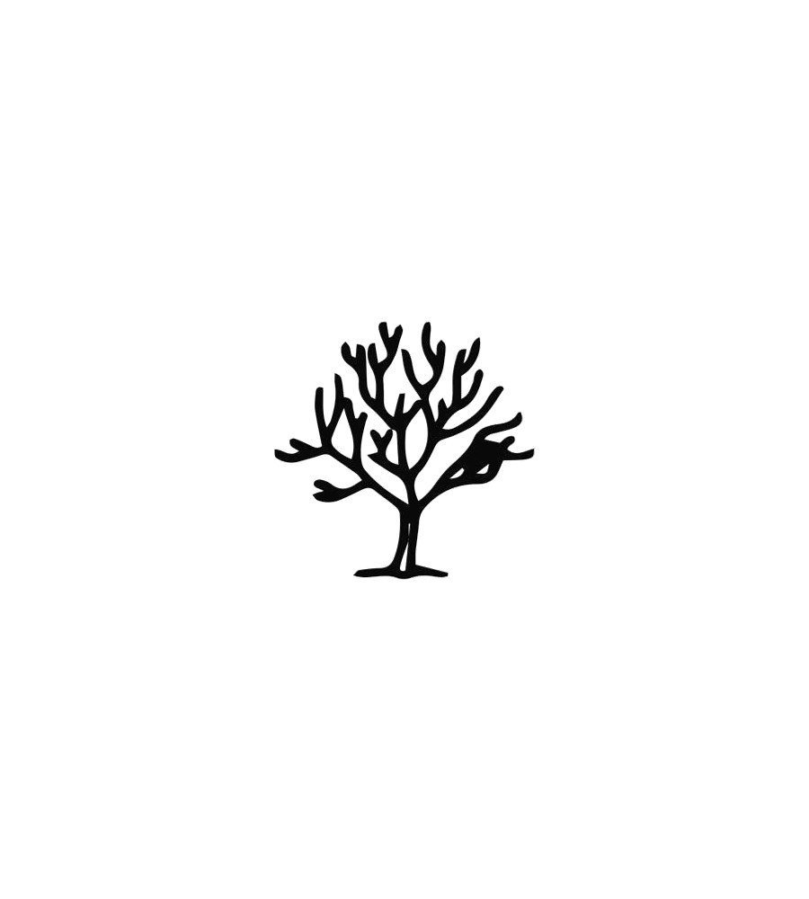 Burnt Roots