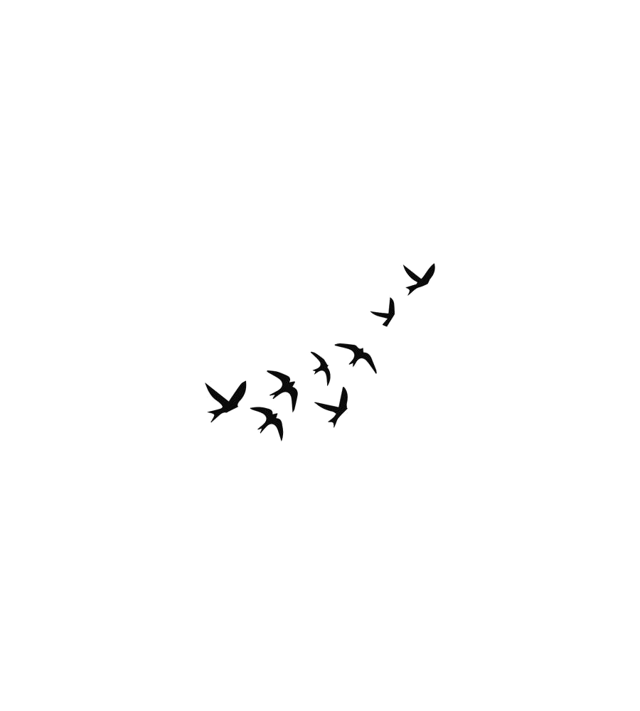 Birds Unbound