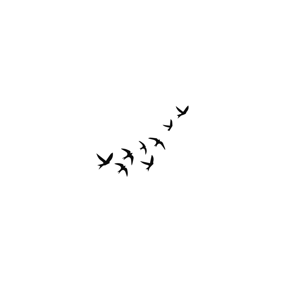 Birds Unbound