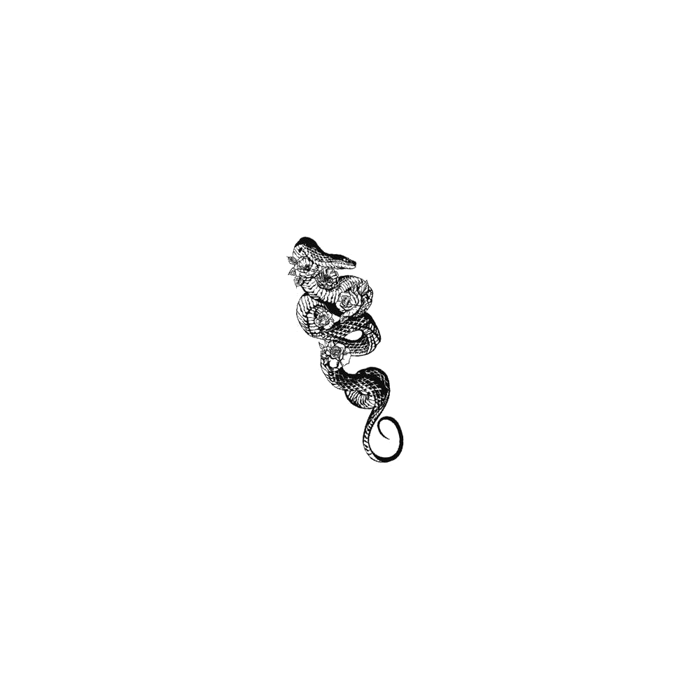 Little Seahorse