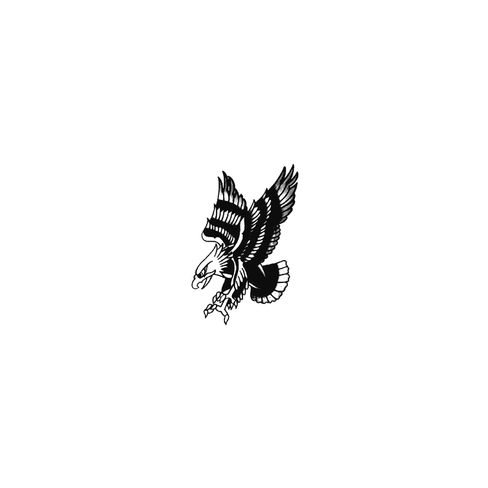 Eagle Strike