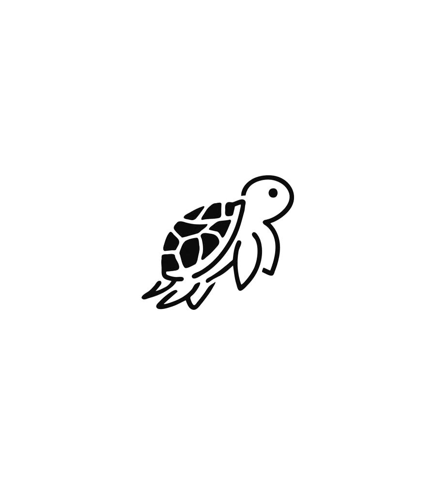 Slow Journey