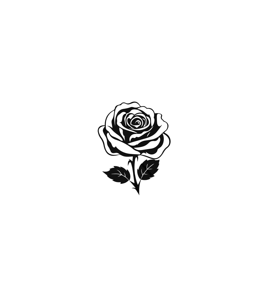 Classic Rose
