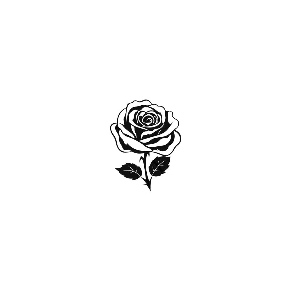 Classic Rose