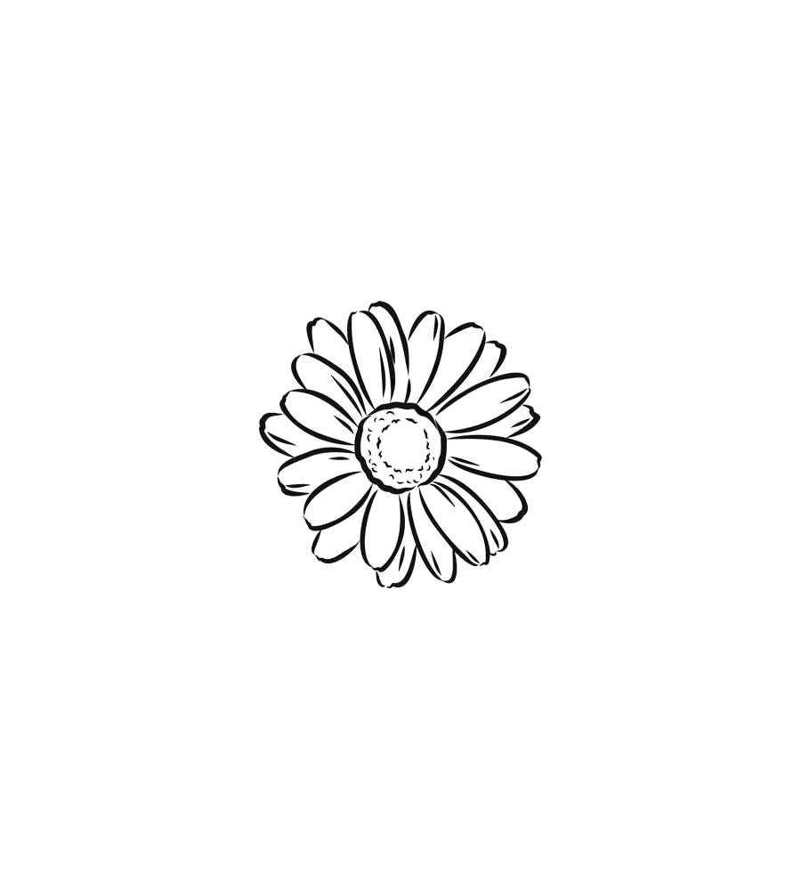 Daisy Day