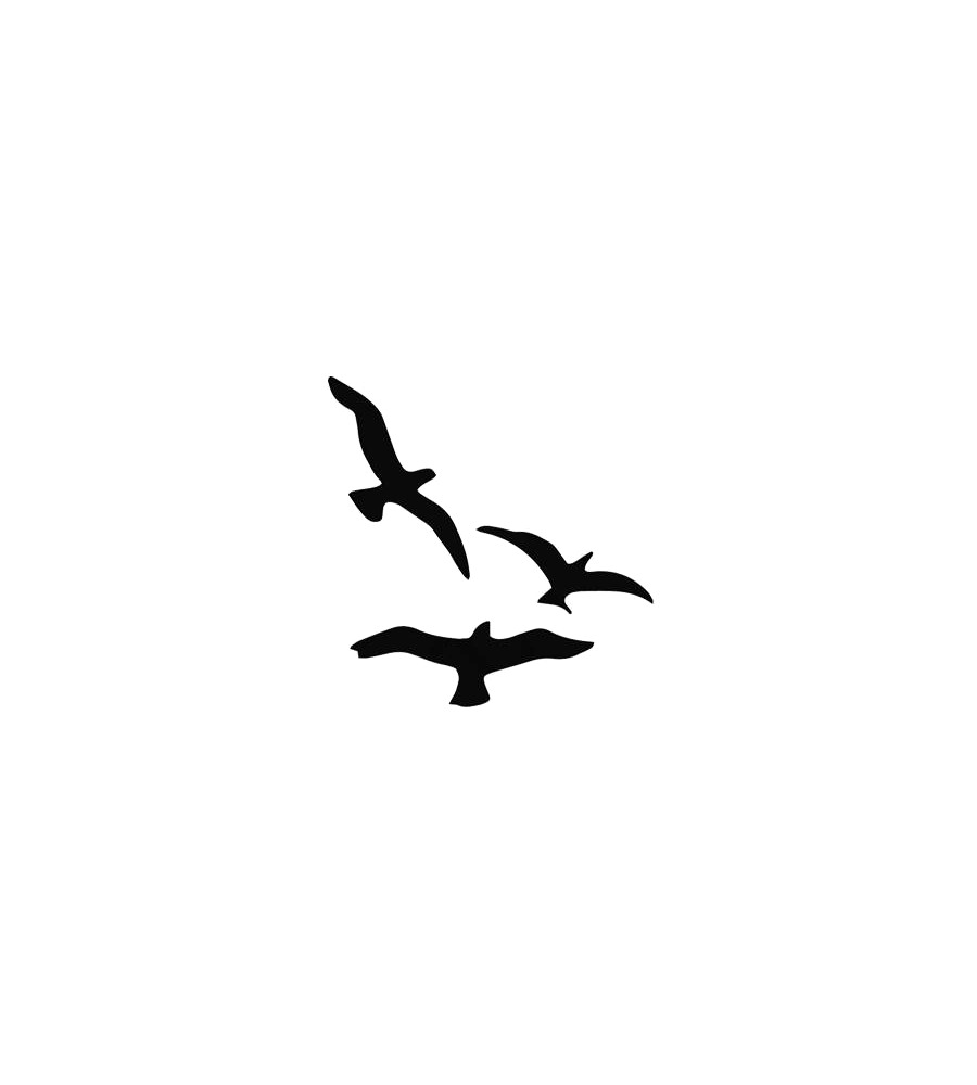 Dark Flock
