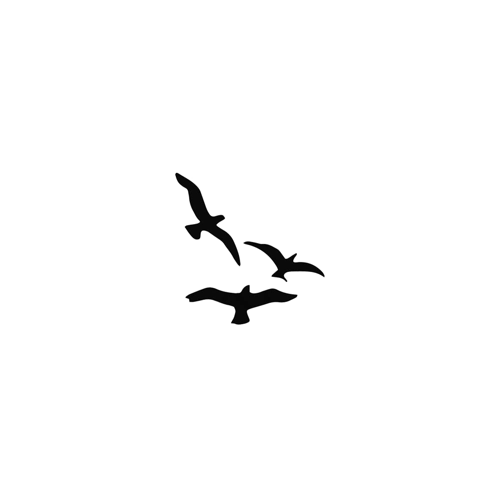 Dark Flock