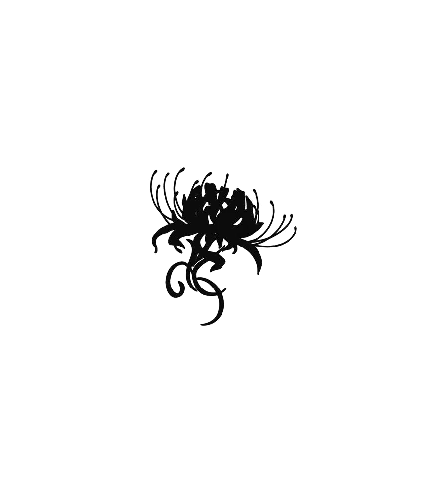Wild Chrysanthemum